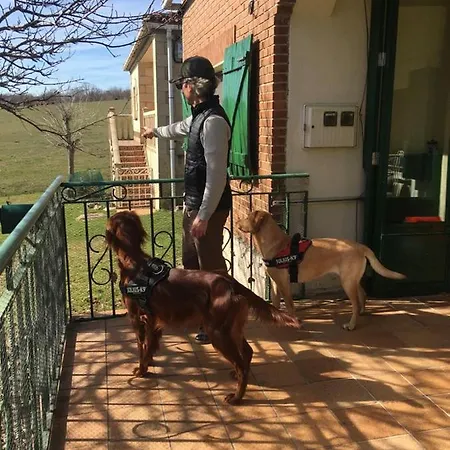 La Masia De Navas Villa Navas Del Pinar