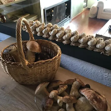 Villa La Masia De Navas *