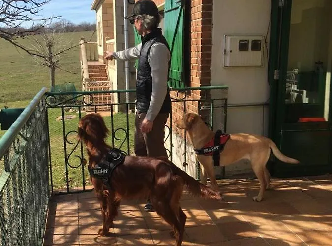 La Masia De Navas Villa Navas Del Pinar