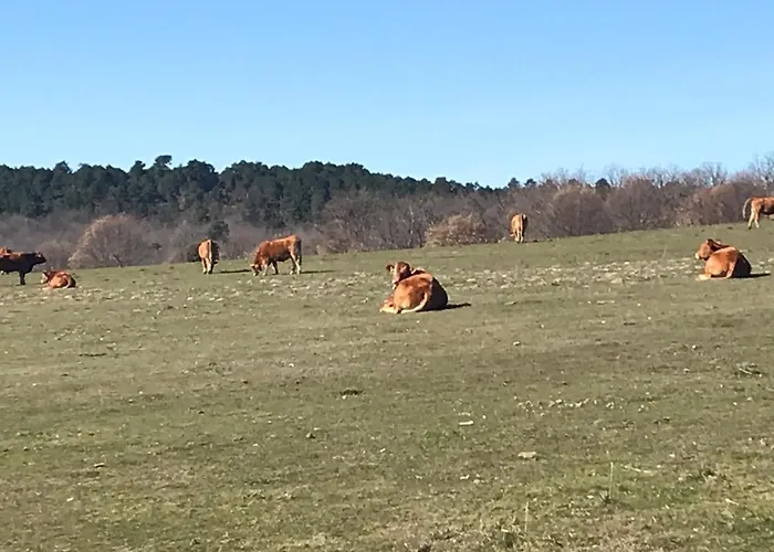 Villa La Masia De Navas *