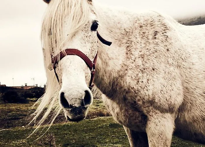 La Masia De Navas Villa Navas Del Pinar