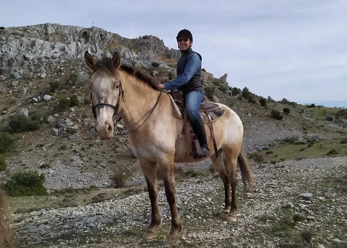 Villa La Masia De Navas
