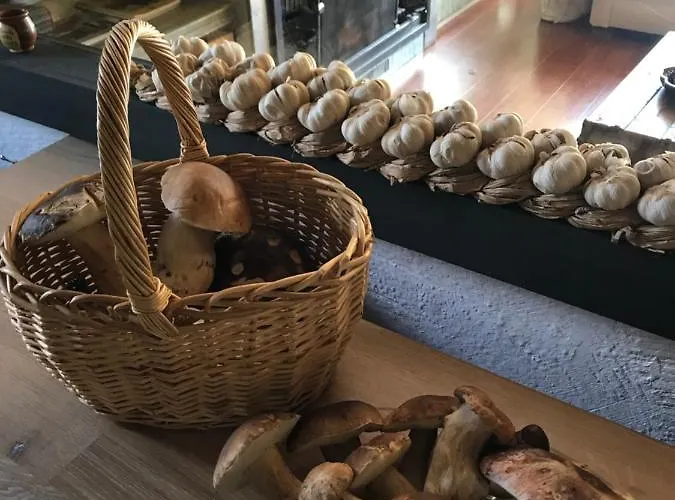 Villa La Masia De Navas *