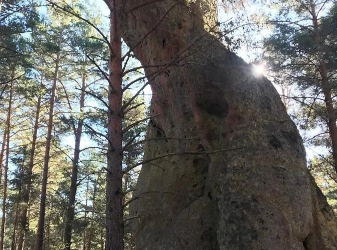 La Masia De Navas Villa