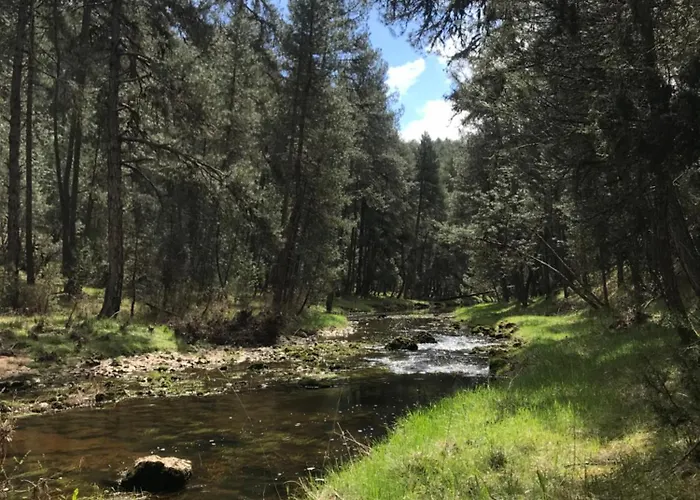 La Masia De Navas Navas Del Pinar